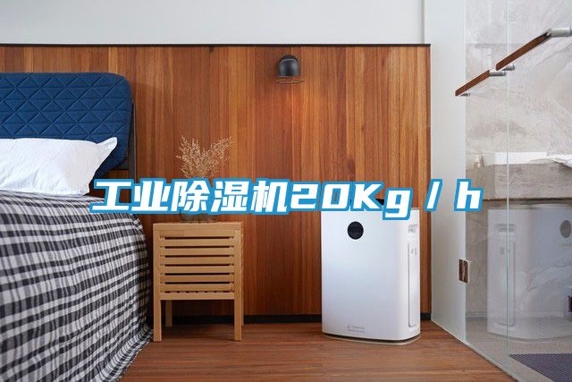 工业除湿机20Kg／h