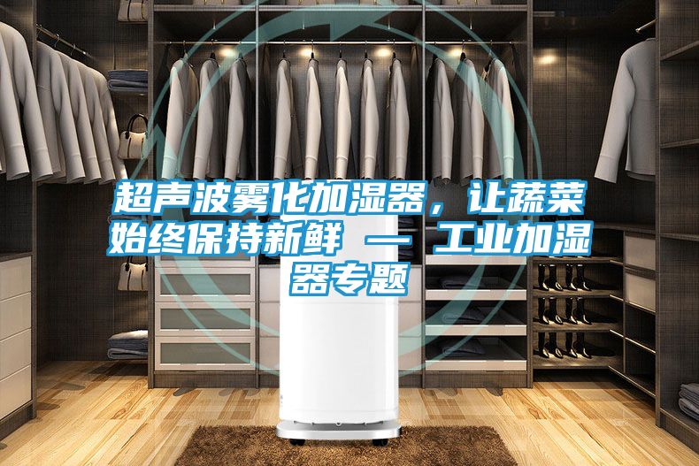 超声波雾化加湿器，让蔬菜始终保持新鲜 — 工业加湿器专题