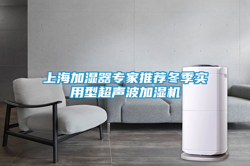 上海加湿器专家推荐冬季实用型超声波加湿机