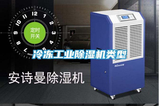 冷冻工业除湿机类型