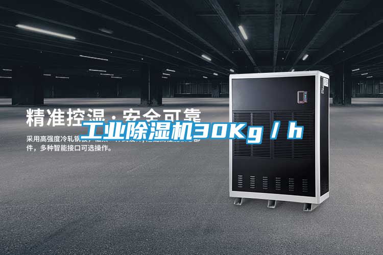 工业除湿机30Kg／h