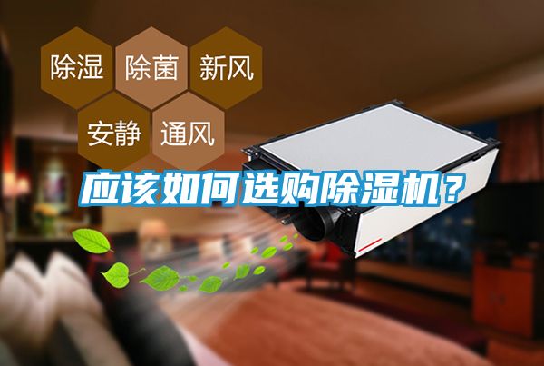 应该如何选购除湿机？