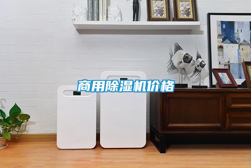 商用除湿机价格