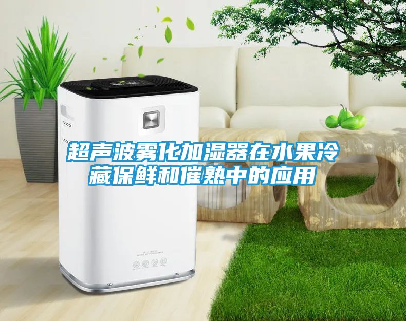 超声波雾化加湿器在水果冷藏保鲜和催熟中的应用