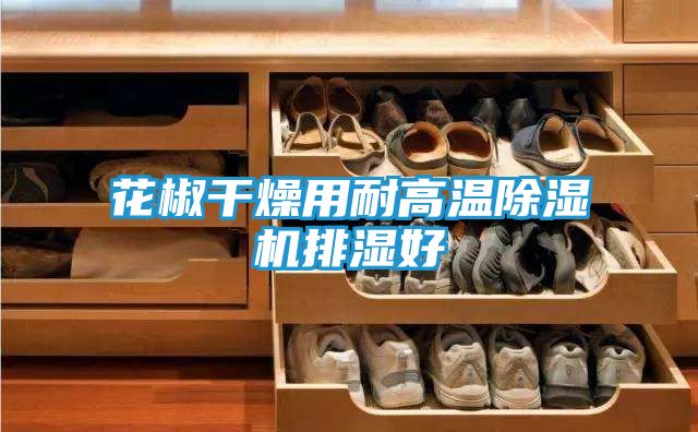 花椒干燥用耐高温除湿机排湿好