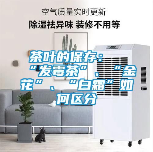 茶叶的保存：“发霉茶”、“金花”、“白霜”如何区分