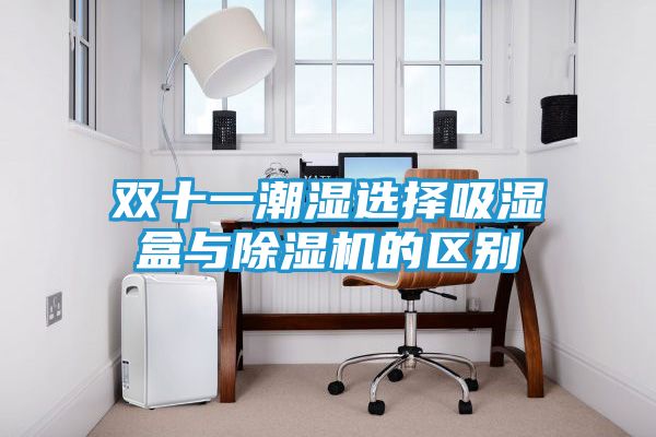 双十一潮湿选择吸湿盒与除湿机的区别