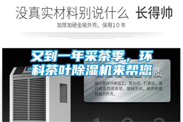 又到一年采茶季，环科茶叶除湿机来帮您