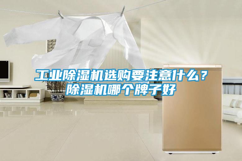 工业除湿机选购要注意什么？除湿机哪个牌子好