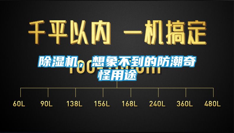除湿机，想象不到的防潮奇怪用途