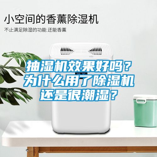 抽湿机效果好吗？为什么用了除湿机还是很潮湿？