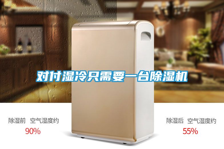 对付湿冷只需要一台除湿机