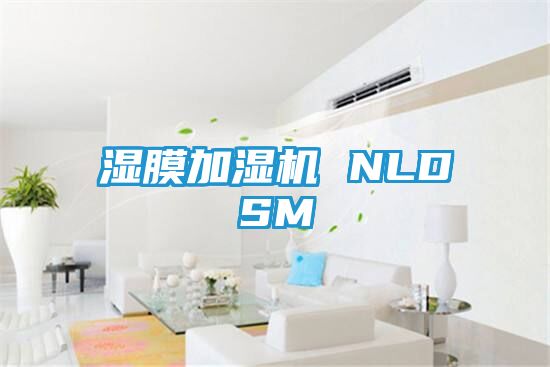 湿膜加湿机 NLDSM