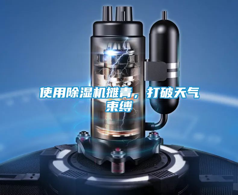 使用除湿机摊青，打破天气束缚