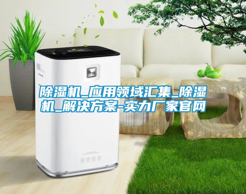 除湿机_应用领域汇集_除湿机_解决方案-实力厂家官网
