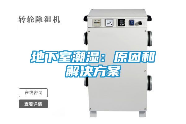 地下室潮湿:原因和解决方案