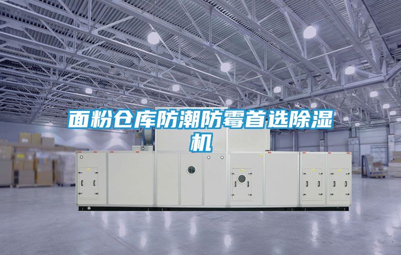 面粉仓库防潮防霉首选除湿机