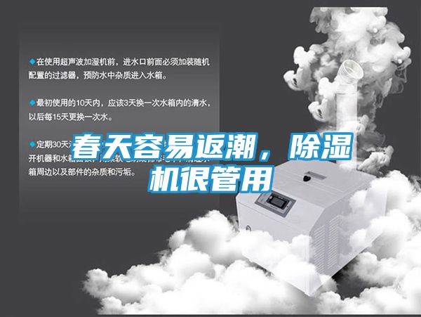 春天容易返潮，除湿机很管用