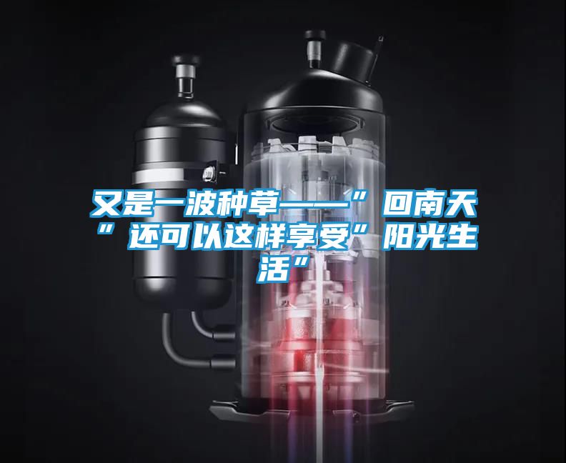 又是一波种草——”回南天”还可以这样享受”阳光生活”