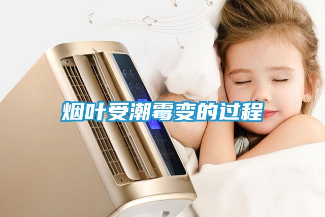 烟叶受潮霉变的过程