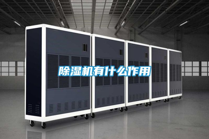 除湿机有什么作用