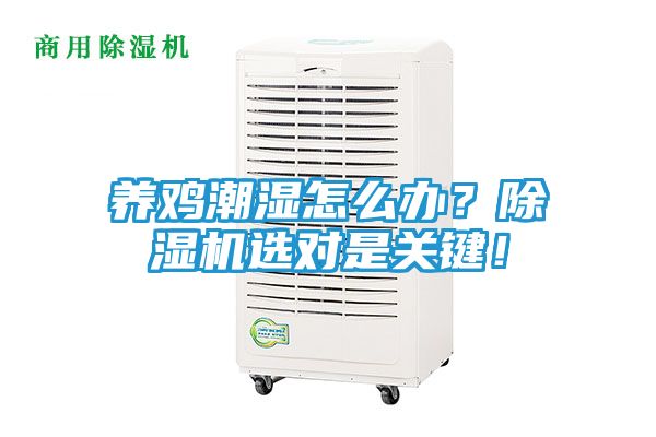 养鸡潮湿怎么办？除湿机选对是关键！