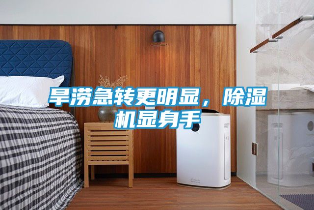 旱涝急转更明显,除湿机显身手