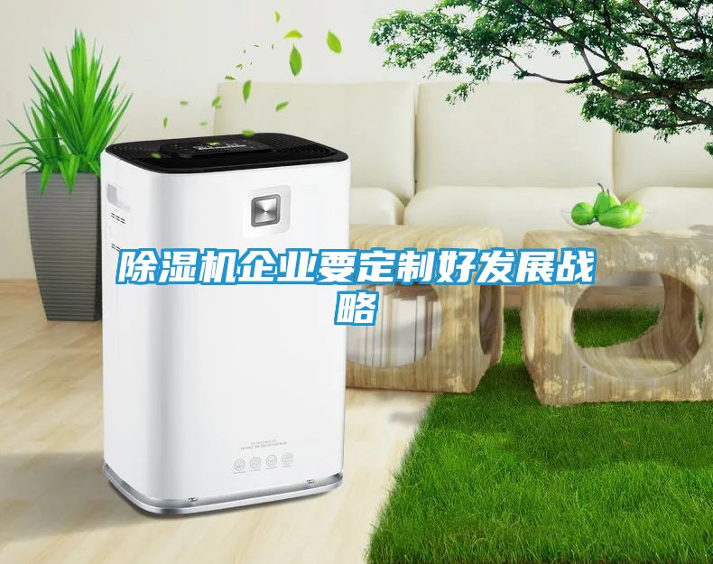 除湿机企业要定制好发展战略