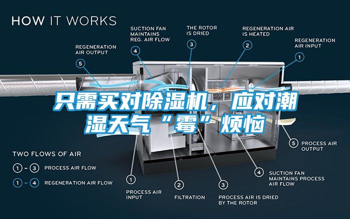 只需买对除湿机，应对潮湿天气“霉”烦恼