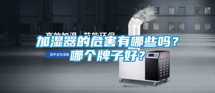 加湿器的危害有哪些吗?哪个牌子好?
