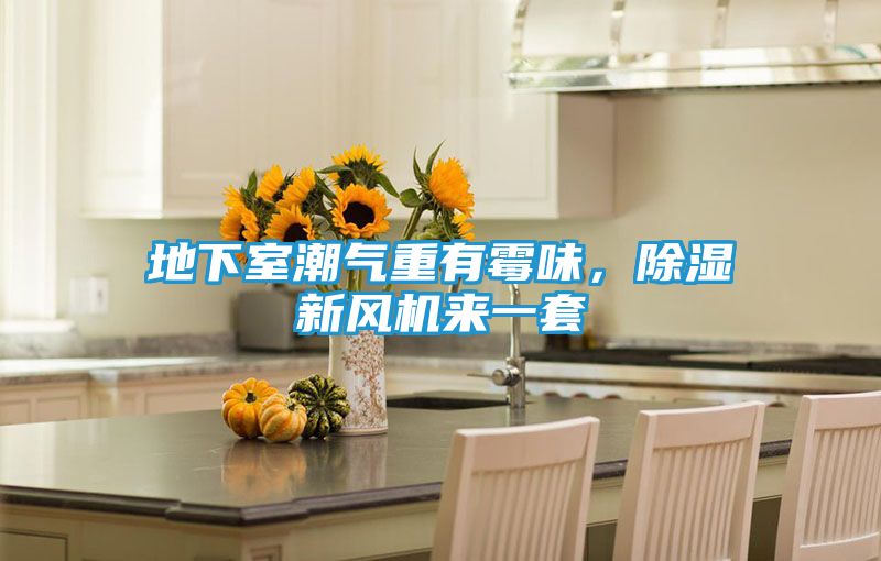 地下室潮气重有霉味，除湿新风机来一套