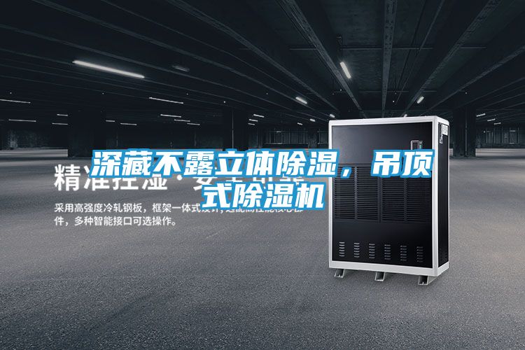深藏不露立体除湿，吊顶式除湿机