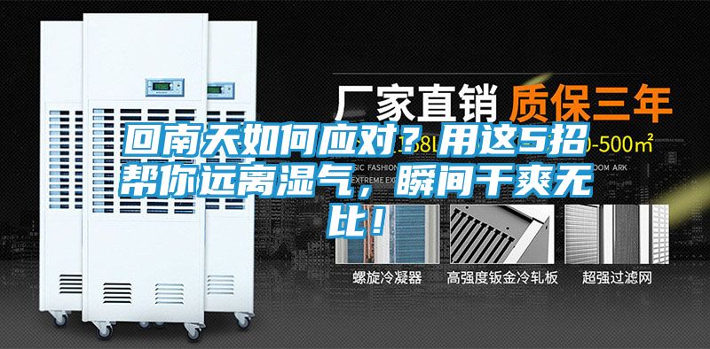 回南天如何应对?用这5招帮你远离湿气,瞬间干爽无比!