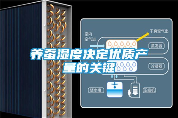 养蚕湿度决定优质产量的关键