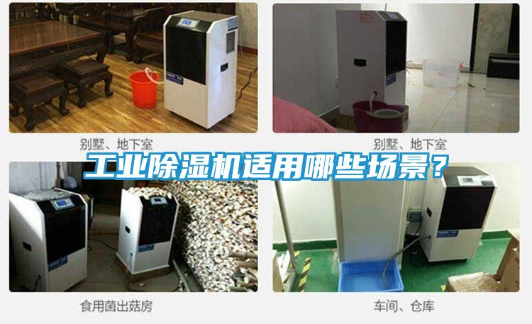 工业除湿机适用哪些场景？