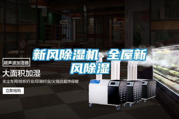 新风除湿机 全屋新风除湿