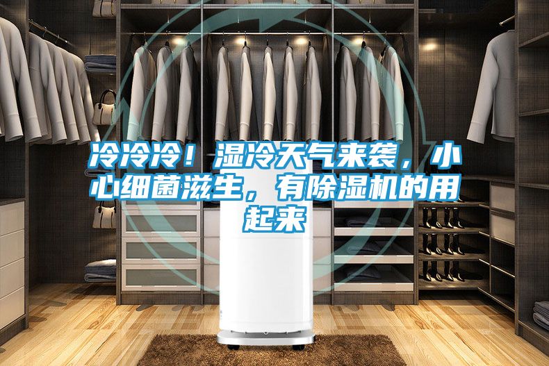 冷冷冷！湿冷天气来袭，小心细菌滋生，有除湿机的用起来