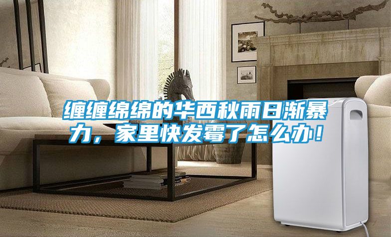 缠缠绵绵的华西秋雨日渐暴力,家里快发霉了怎么办!