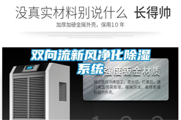 双向流新风净化除湿系统