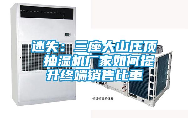 迷失：三座大山压顶 抽湿机厂家如何提升终端销售比重