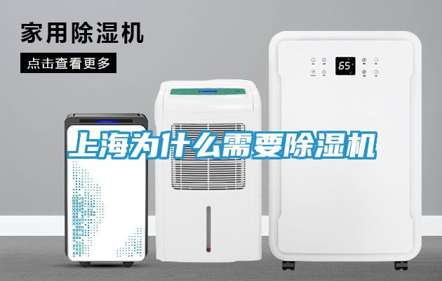 上海为什么需要除湿机