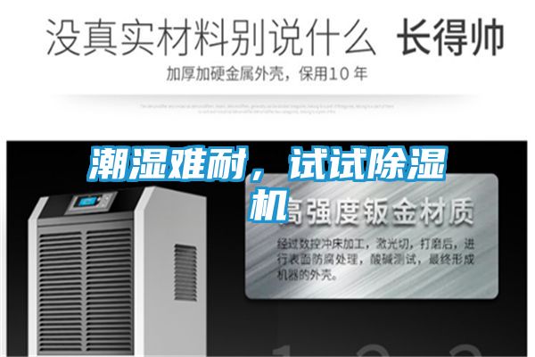 潮湿难耐,试试除湿机