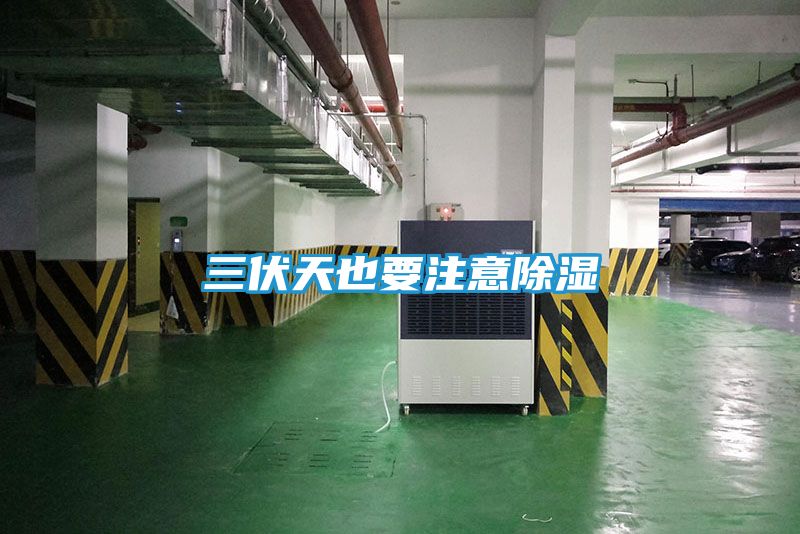 三伏天也要注意除湿