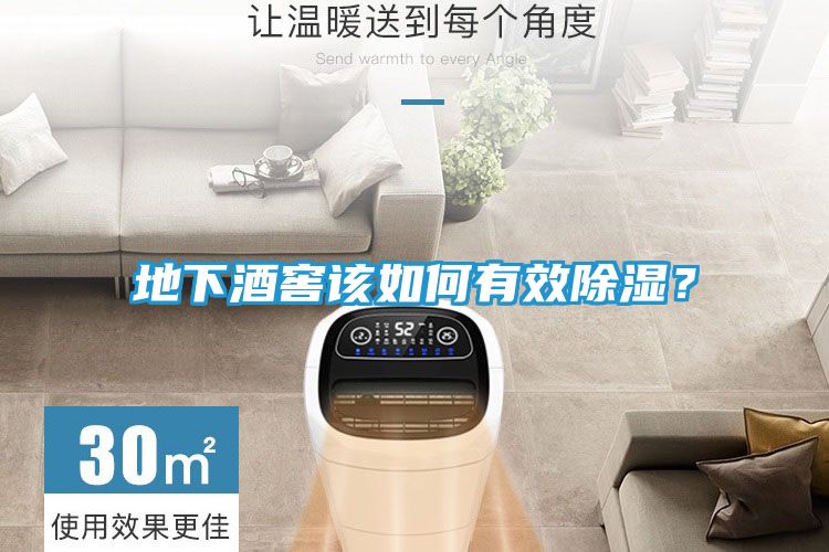 地下酒窖该如何有效除湿？