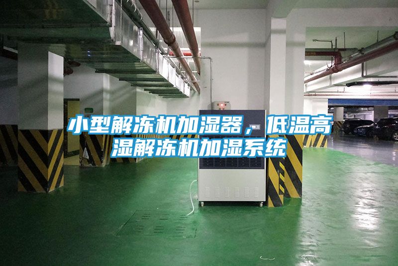 小型解冻机加湿器,低温高湿解冻机加湿系统