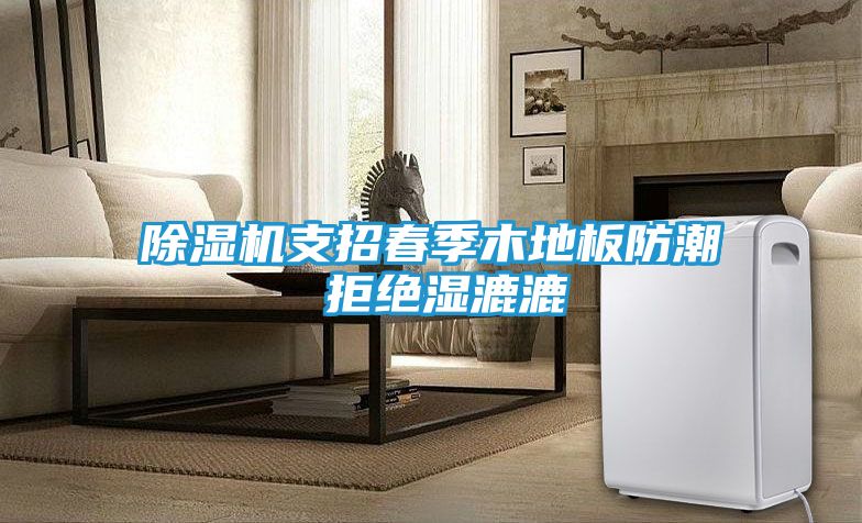 除湿机支招春季木地板防潮 拒绝湿漉漉