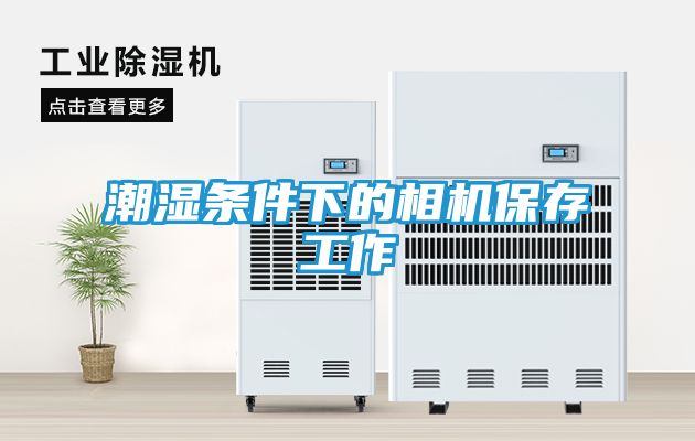 潮湿条件下的相机保存工作