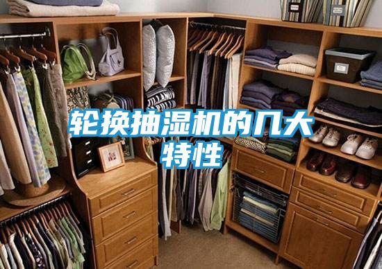 轮换抽湿机的几大特性