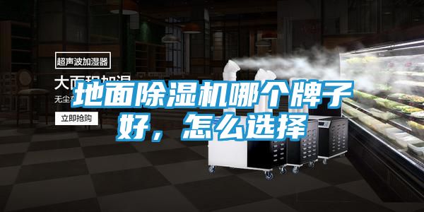 地面除湿机哪个牌子好，怎么选择