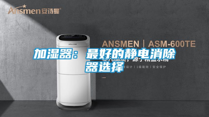 加湿器：最好的静电消除器选择